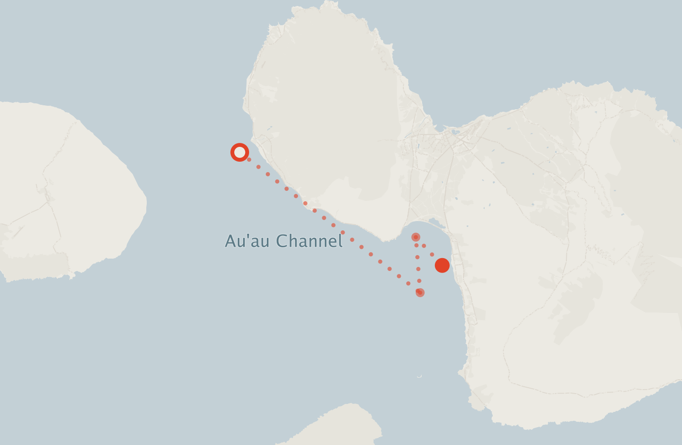 Activity map — real sighting points on an OpenStreetMap basemap