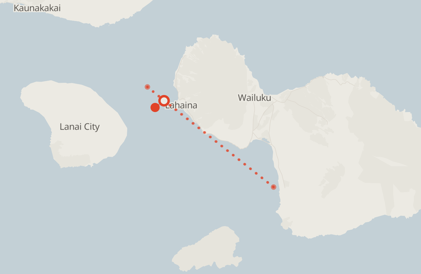 Activity map — real sighting points on an OpenStreetMap basemap