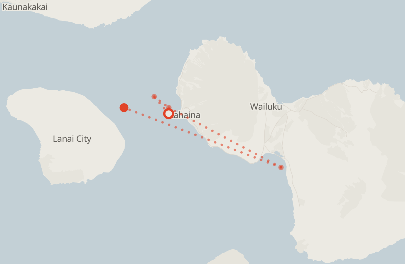 Activity map — real sighting points on an OpenStreetMap basemap