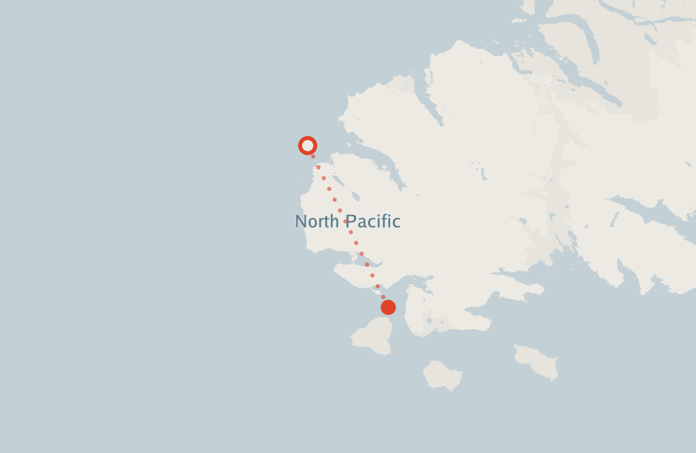 Activity map — real sighting points on an OpenStreetMap basemap
