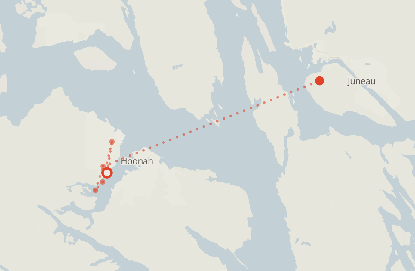 Activity map — real sighting points on an OpenStreetMap basemap
