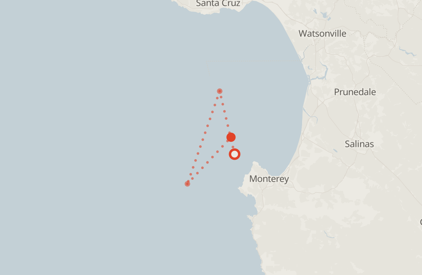 Activity map — real sighting points on an OpenStreetMap basemap