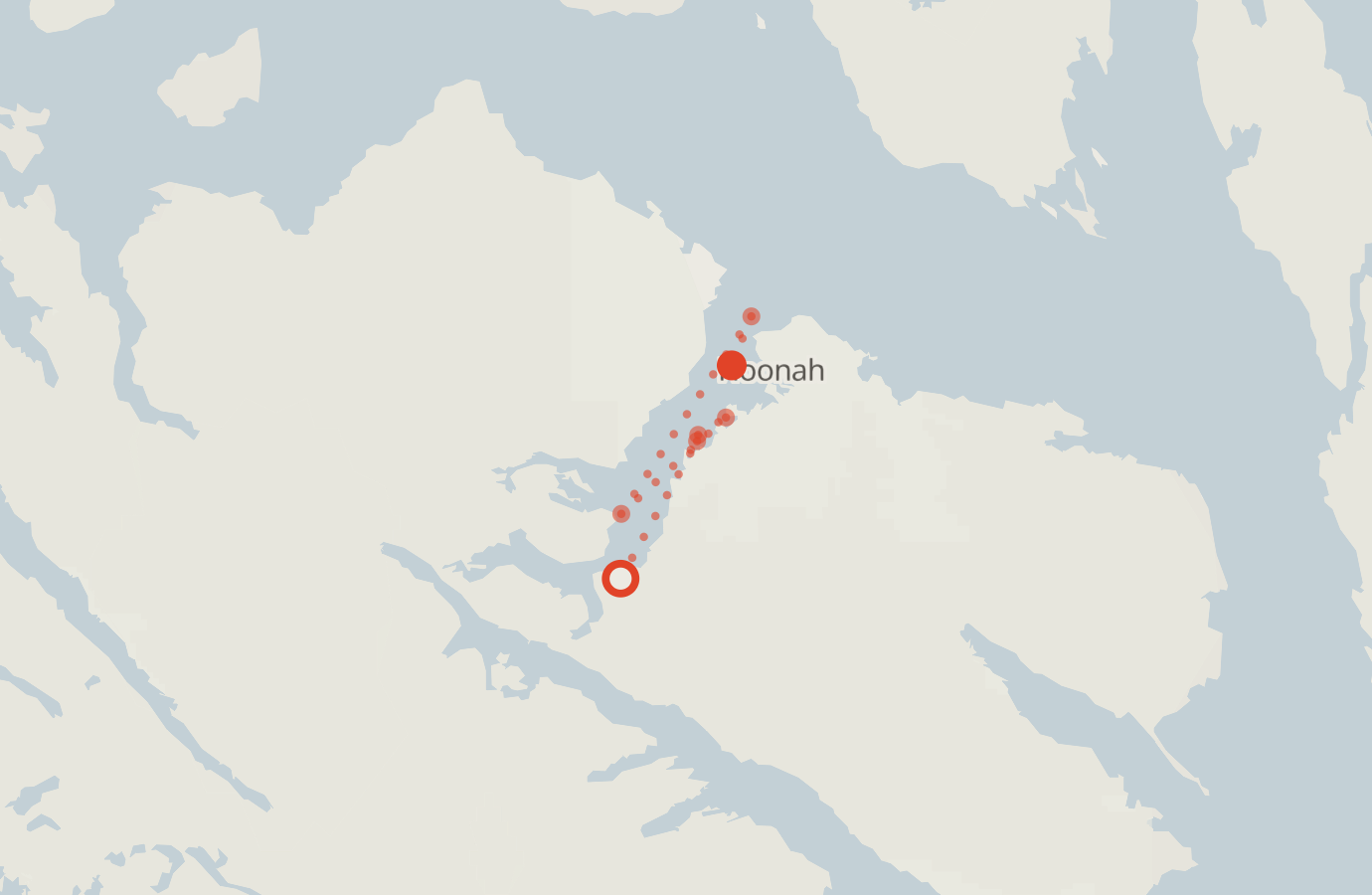 Activity map — real sighting points on an OpenStreetMap basemap