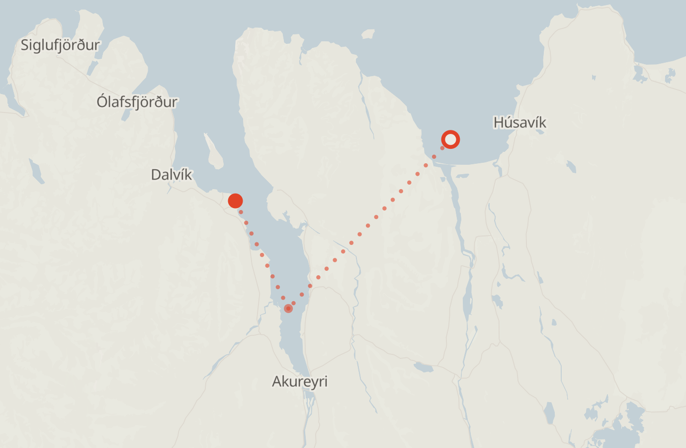 Activity map — real sighting points on an OpenStreetMap basemap
