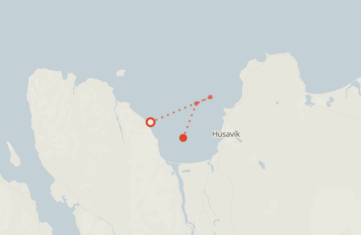 Activity map — real sighting points on an OpenStreetMap basemap