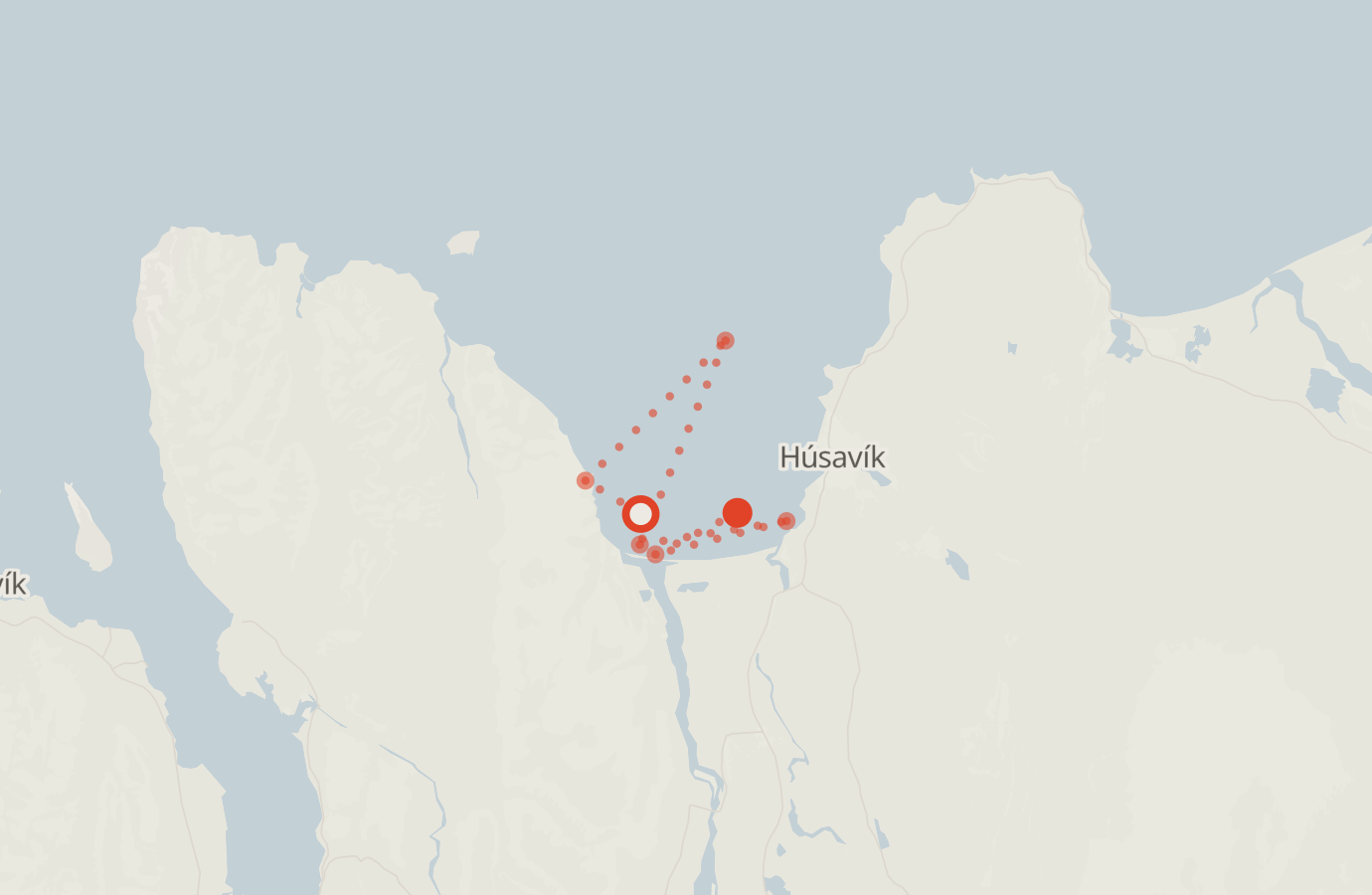 Activity map — real sighting points on an OpenStreetMap basemap