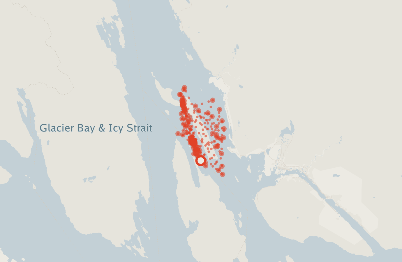 Activity map — real sighting points on an OpenStreetMap basemap