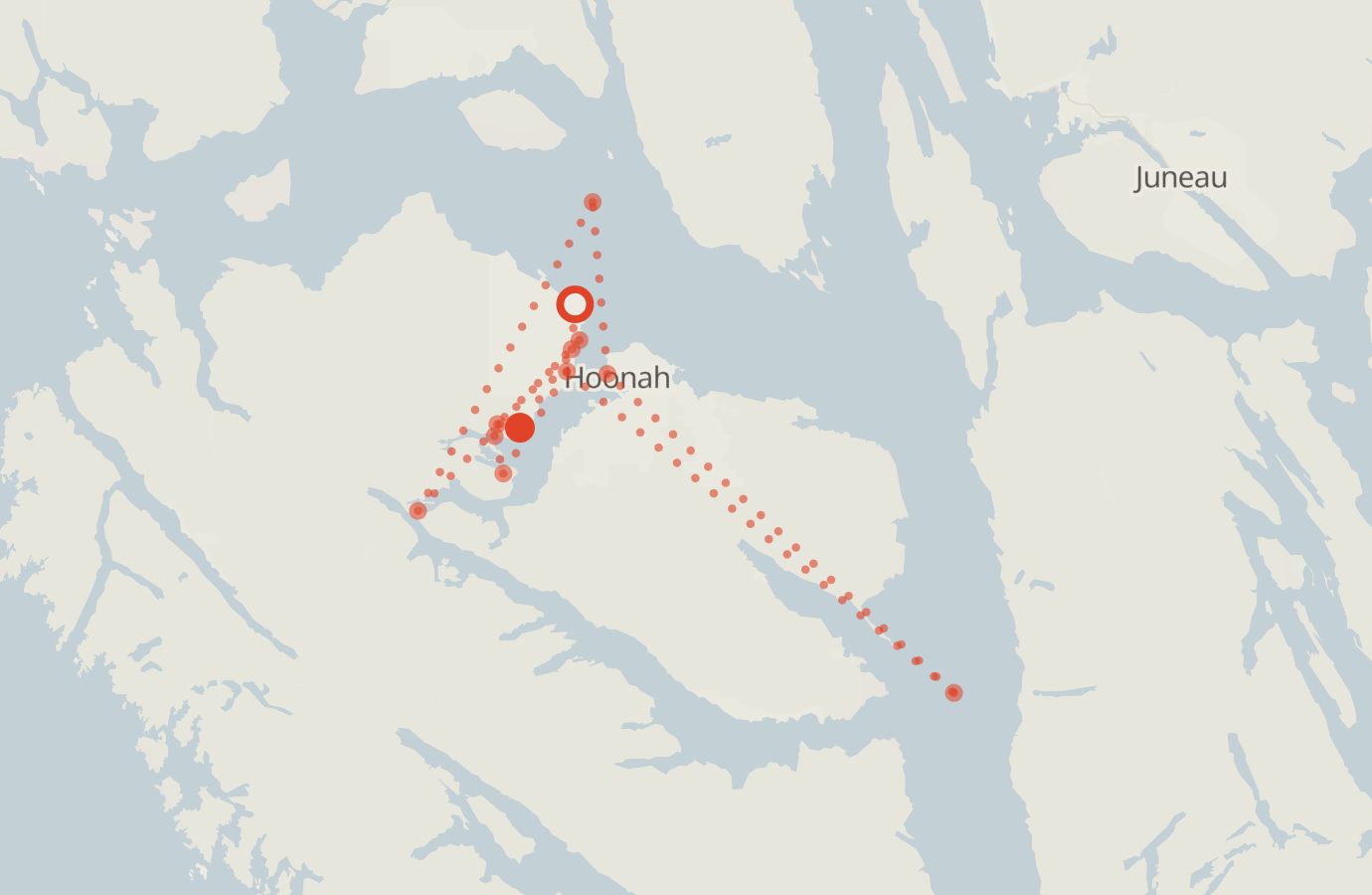 Activity map — real sighting points on an OpenStreetMap basemap