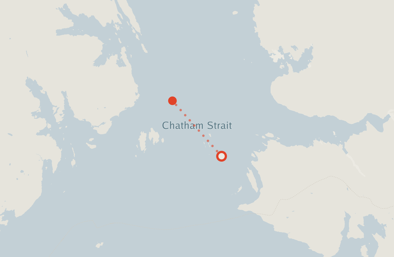 Activity map — real sighting points on an OpenStreetMap basemap