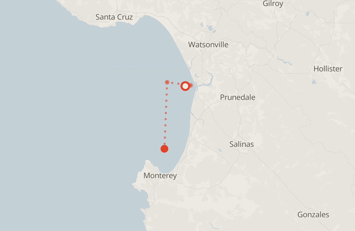 Activity map — real sighting points on an OpenStreetMap basemap