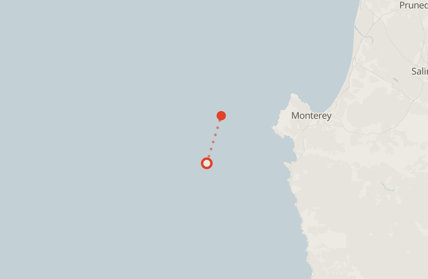 Activity map — real sighting points on an OpenStreetMap basemap