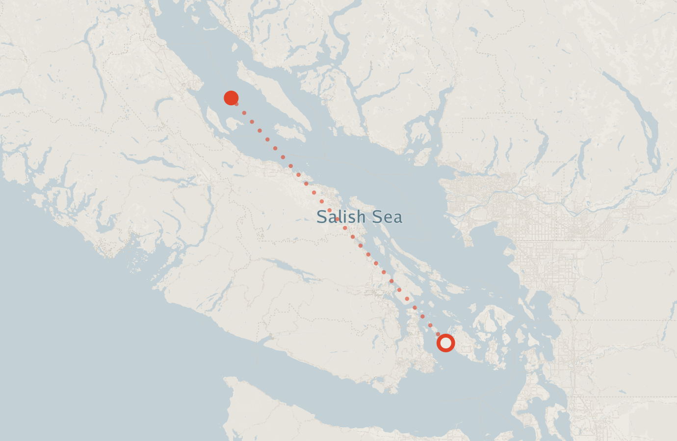 Activity map — real sighting points on an OpenStreetMap basemap