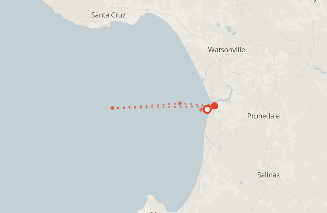 Activity map — real sighting points on an OpenStreetMap basemap
