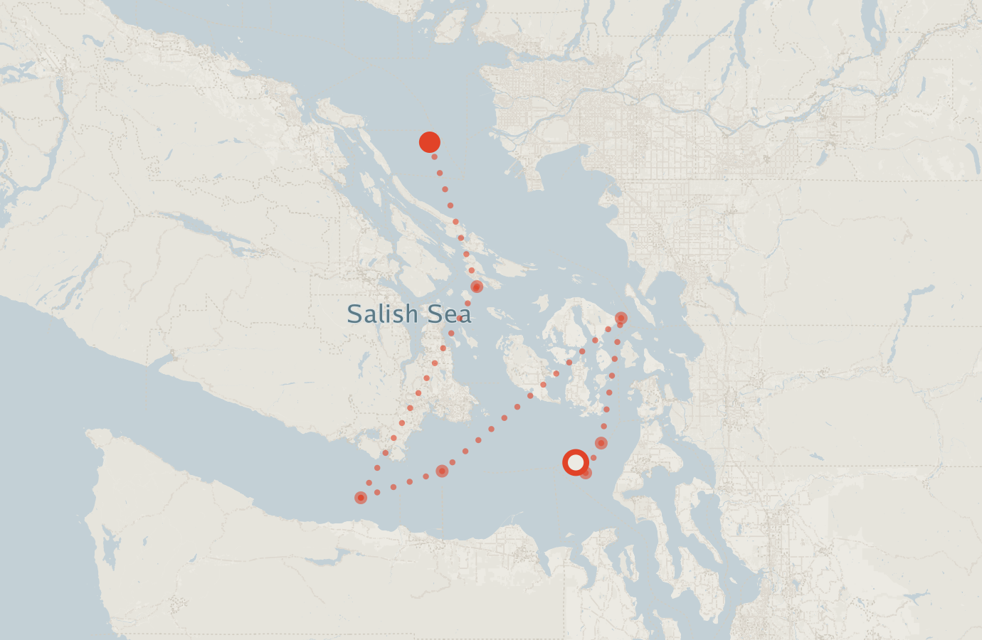Activity map — real sighting points on an OpenStreetMap basemap