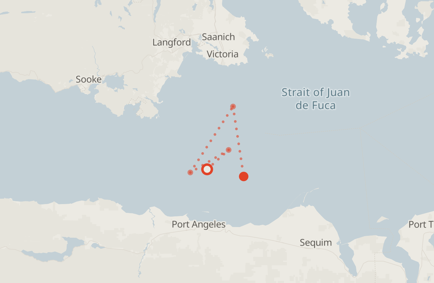 Activity map — real sighting points on an OpenStreetMap basemap