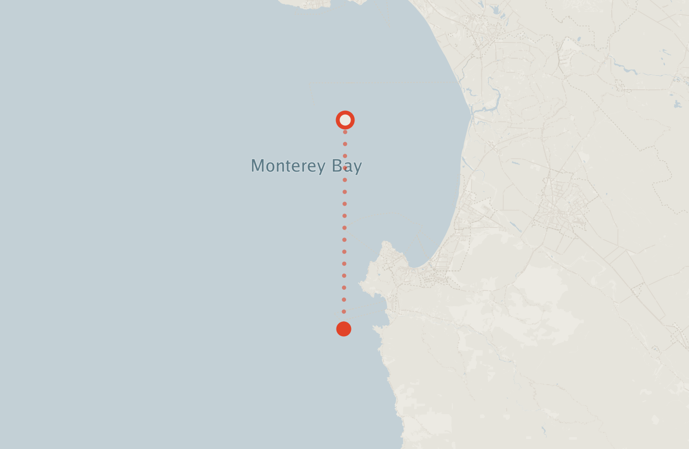 Activity map — real sighting points on an OpenStreetMap basemap