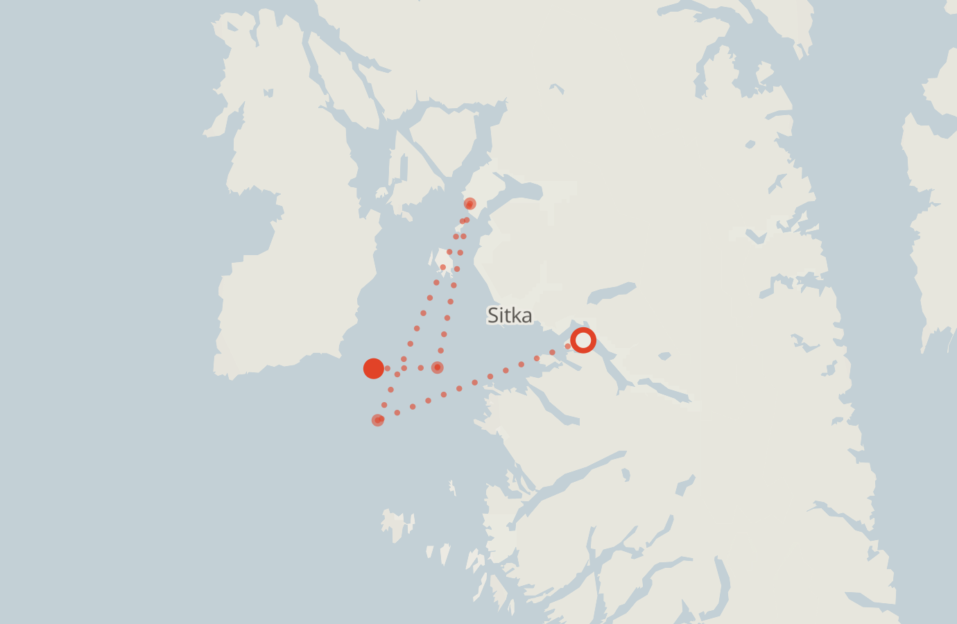 Activity map — real sighting points on an OpenStreetMap basemap