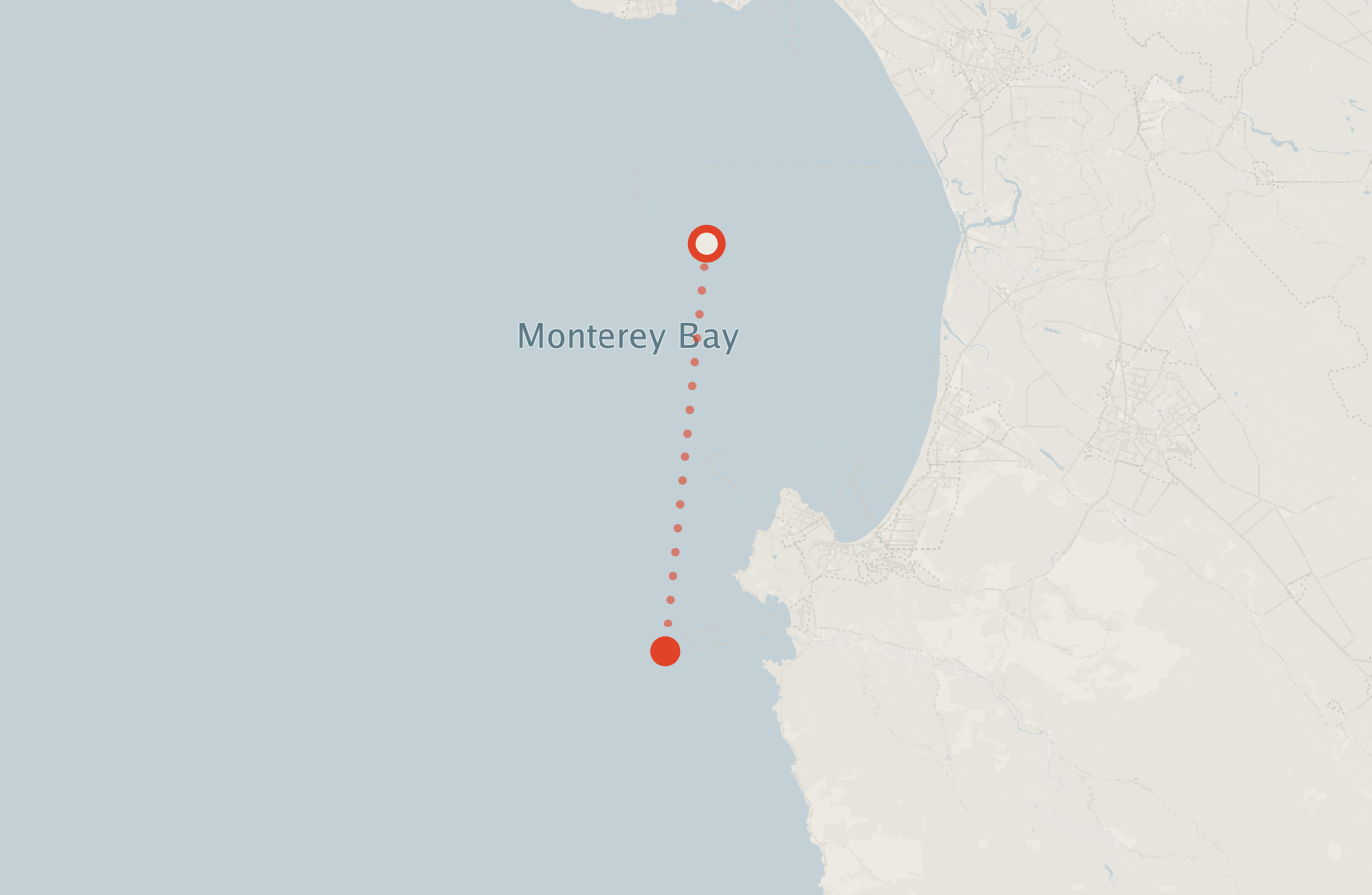 Activity map — real sighting points on an OpenStreetMap basemap