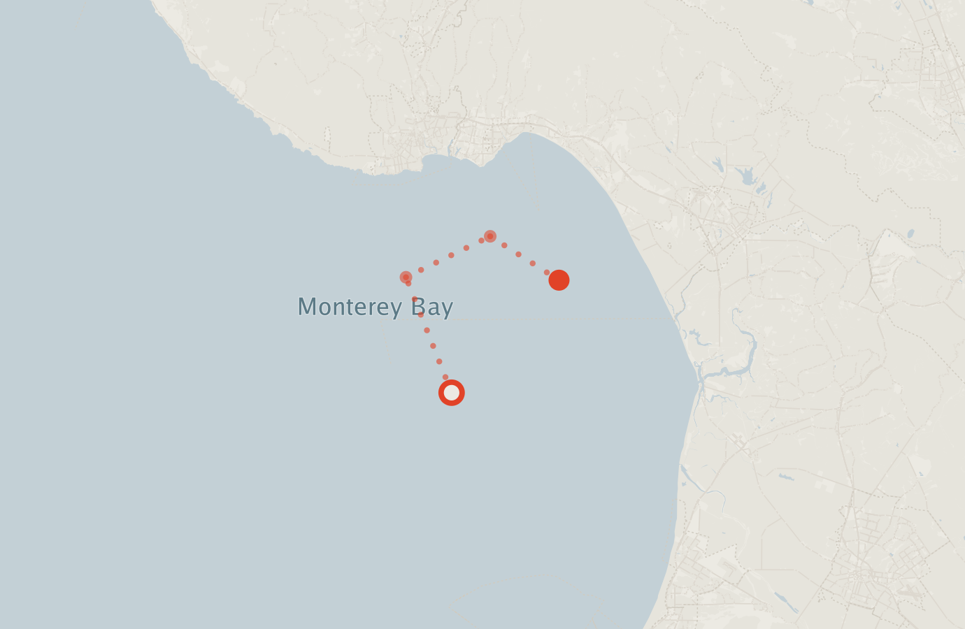 Activity map — real sighting points on an OpenStreetMap basemap