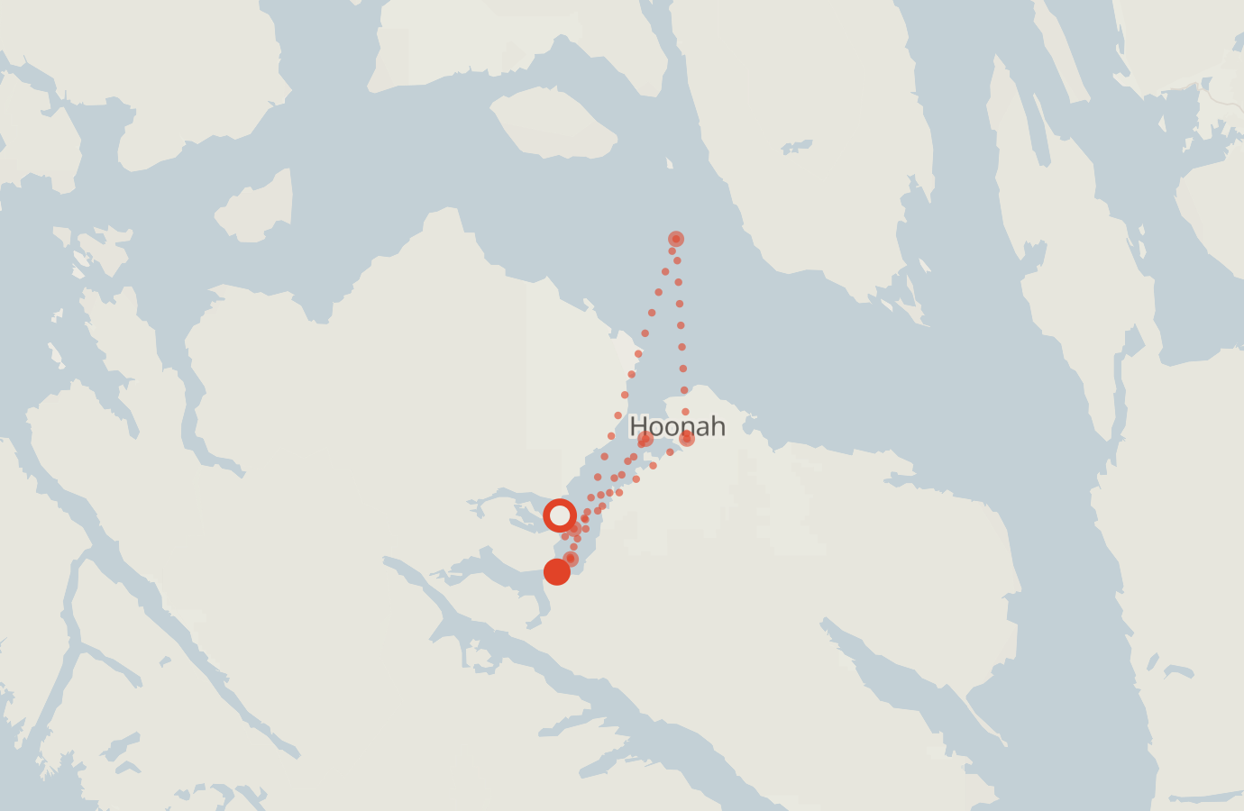 Activity map — real sighting points on an OpenStreetMap basemap