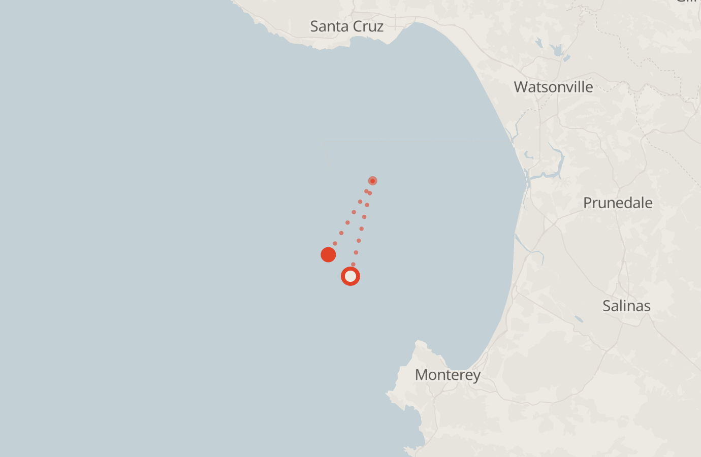 Activity map — real sighting points on an OpenStreetMap basemap