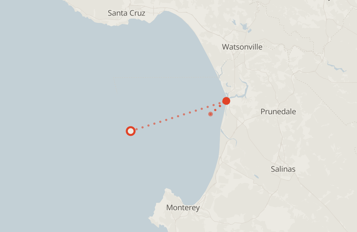 Activity map — real sighting points on an OpenStreetMap basemap
