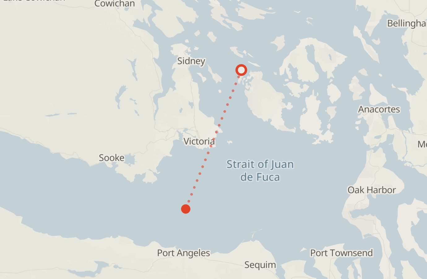 Activity map — real sighting points on an OpenStreetMap basemap