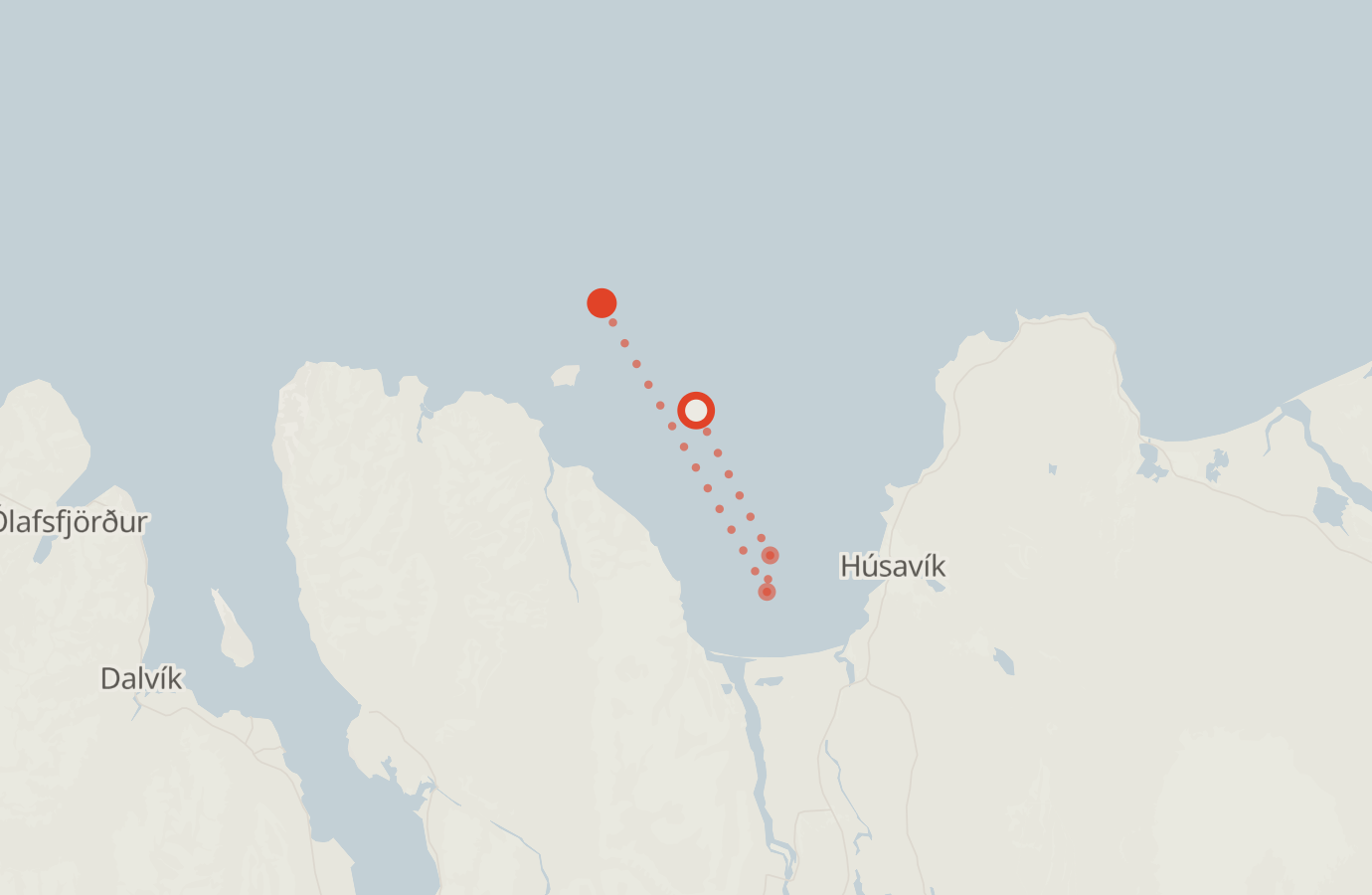 Activity map — real sighting points on an OpenStreetMap basemap