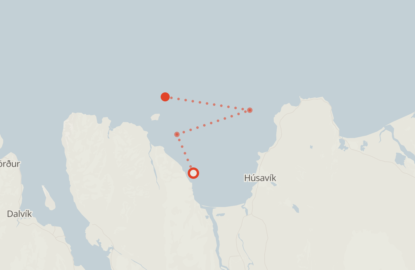Activity map — real sighting points on an OpenStreetMap basemap