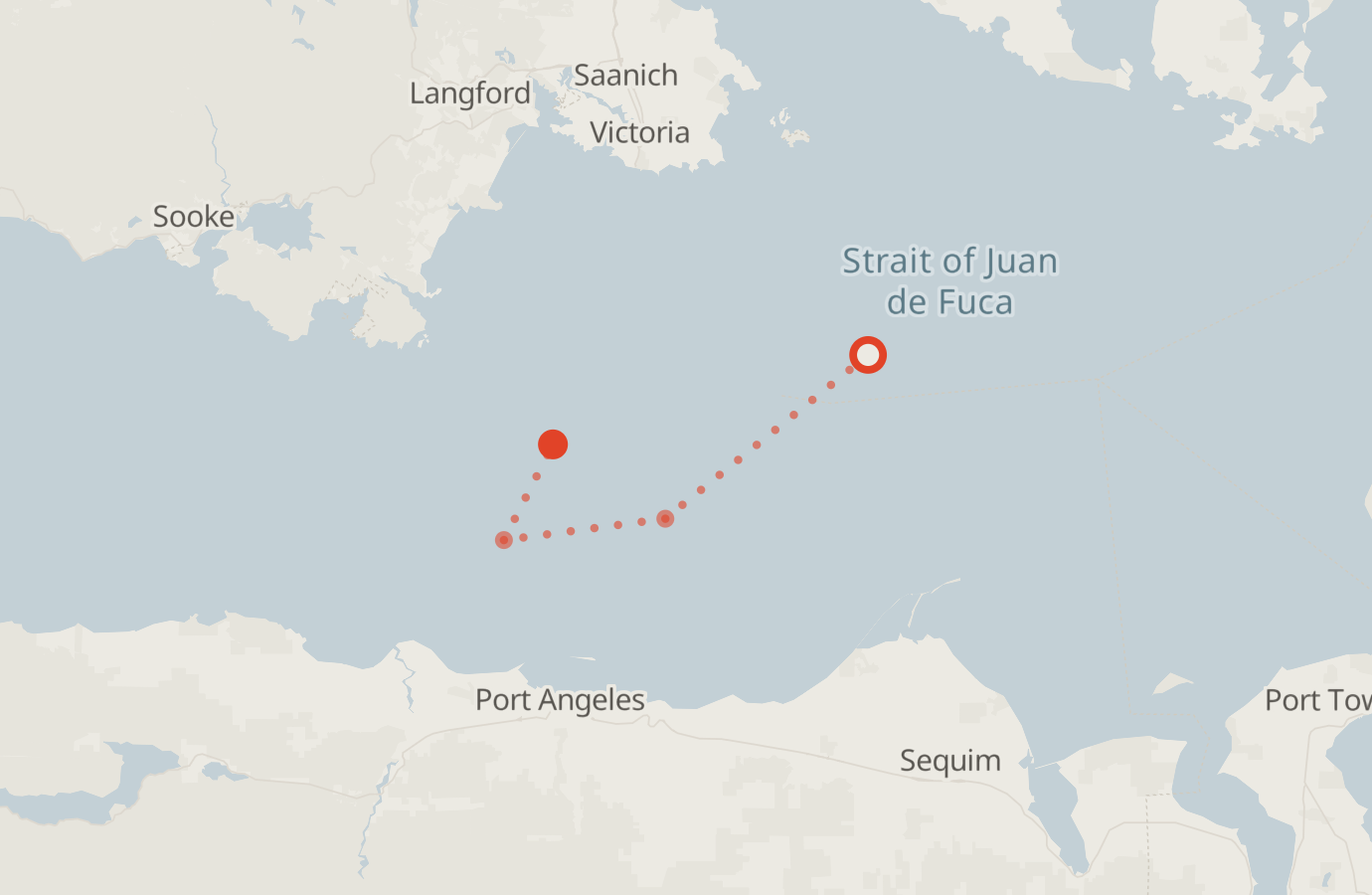 Activity map — real sighting points on an OpenStreetMap basemap