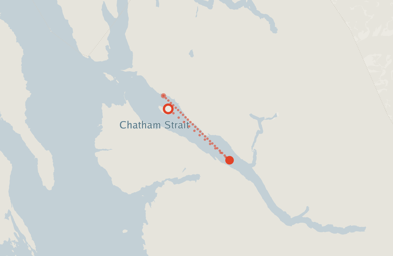 Activity map — real sighting points on an OpenStreetMap basemap