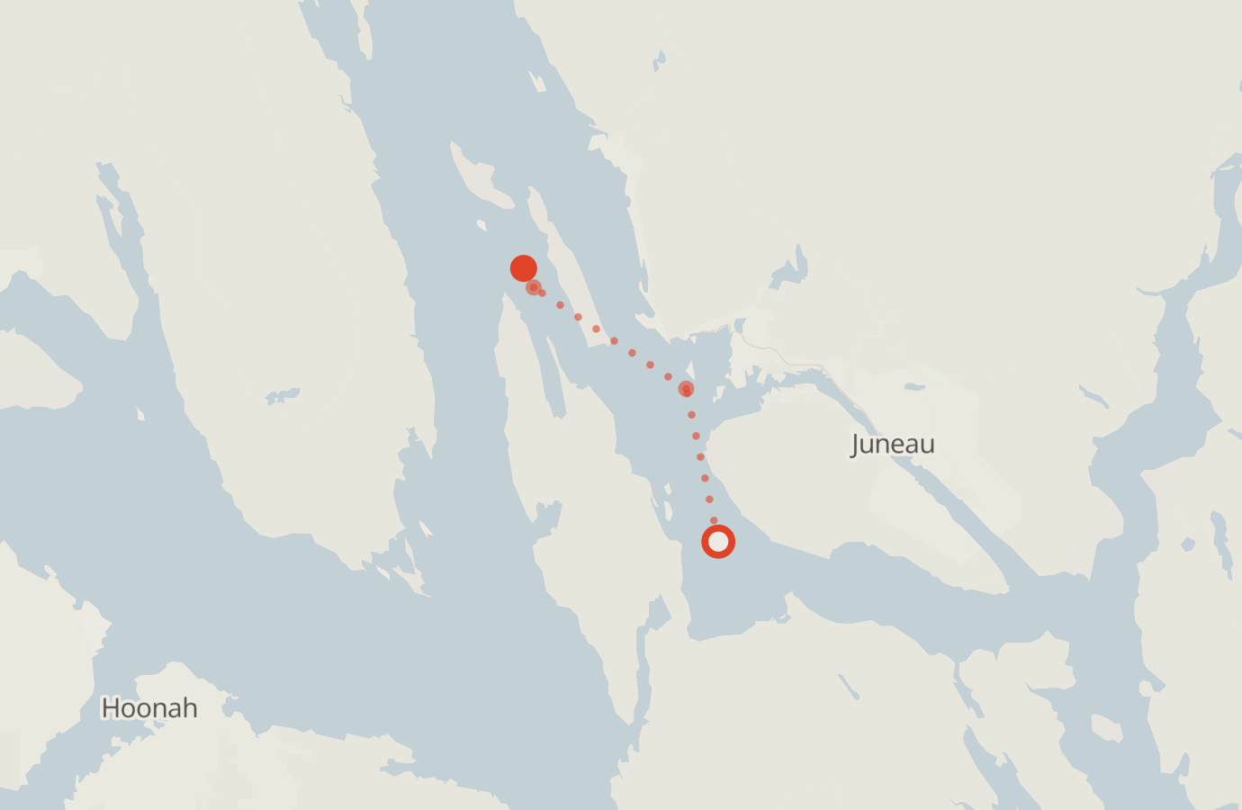 Activity map — real sighting points on an OpenStreetMap basemap