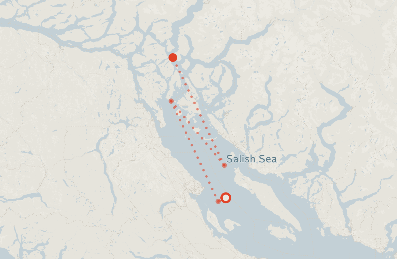 Activity map — real sighting points on an OpenStreetMap basemap