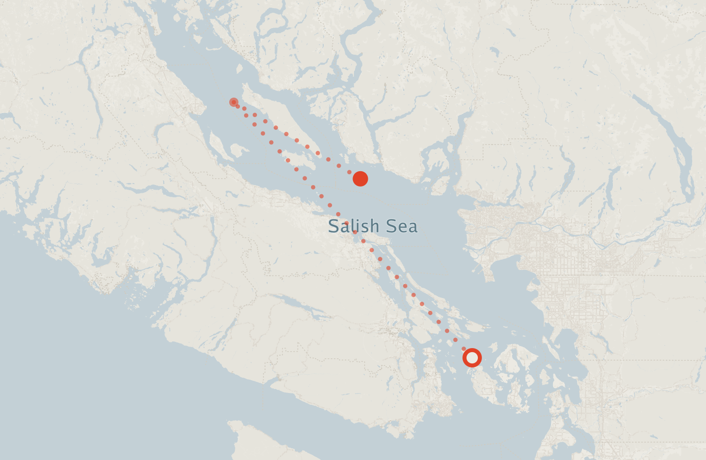 Activity map — real sighting points on an OpenStreetMap basemap