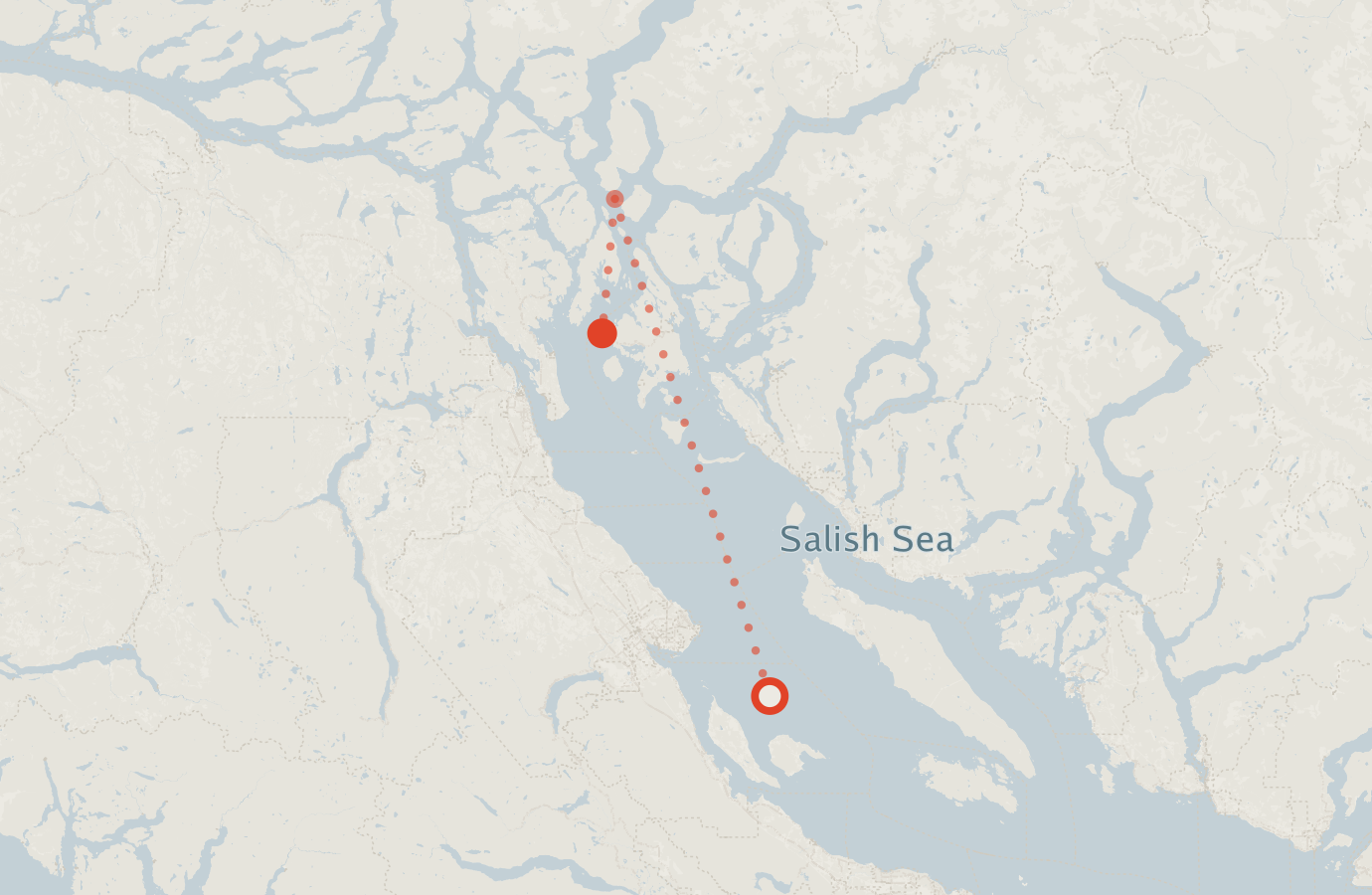 Activity map — real sighting points on an OpenStreetMap basemap