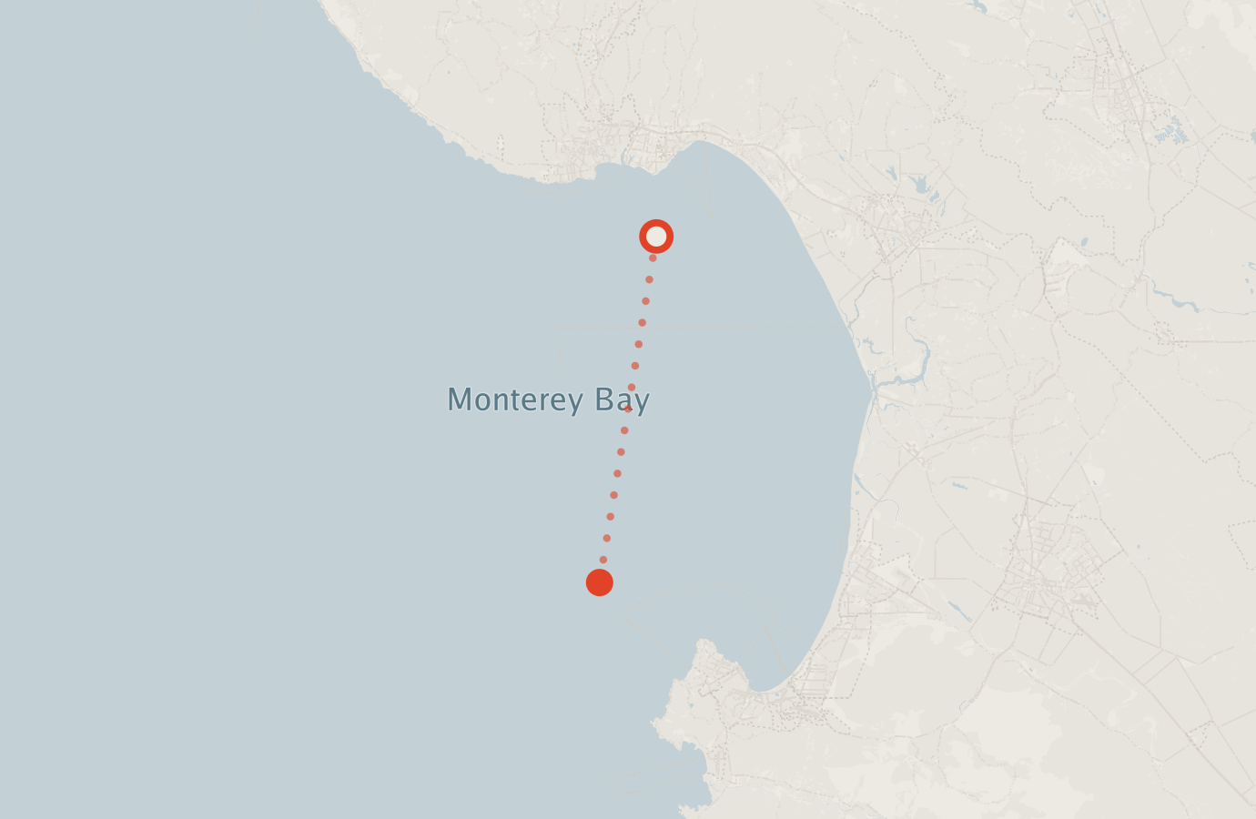 Activity map — real sighting points on an OpenStreetMap basemap
