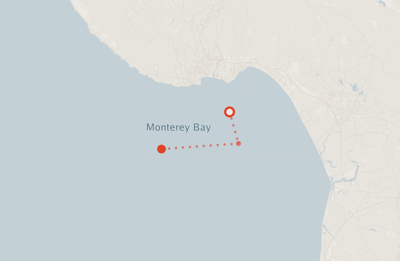 Activity map — real sighting points on an OpenStreetMap basemap