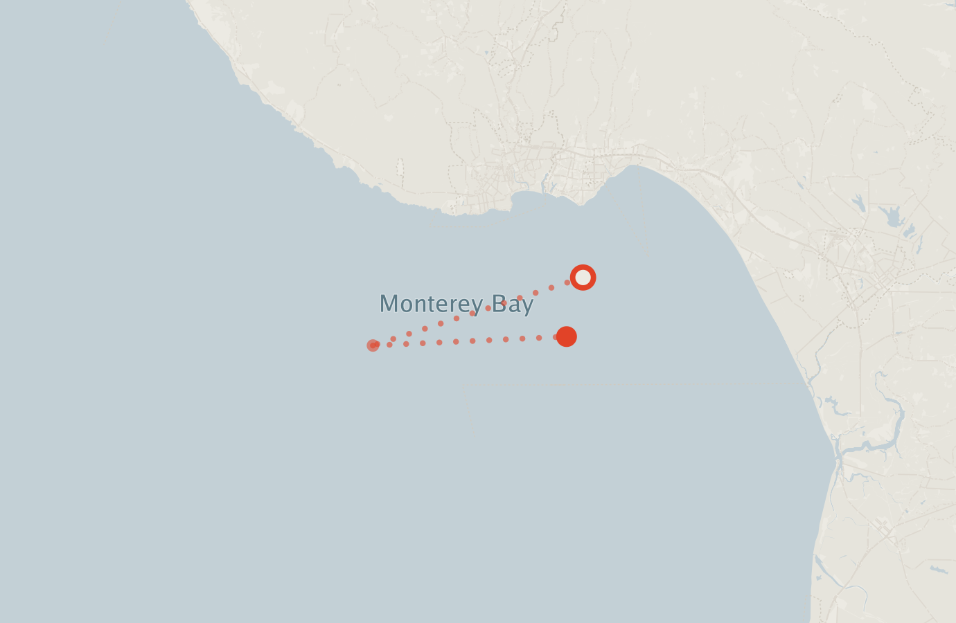 Activity map — real sighting points on an OpenStreetMap basemap