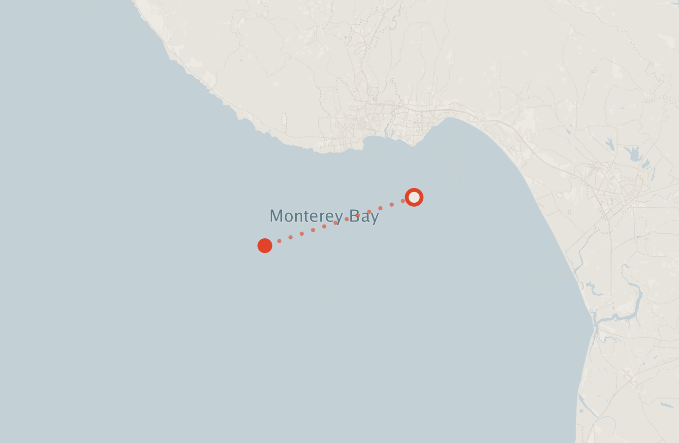 Activity map — real sighting points on an OpenStreetMap basemap