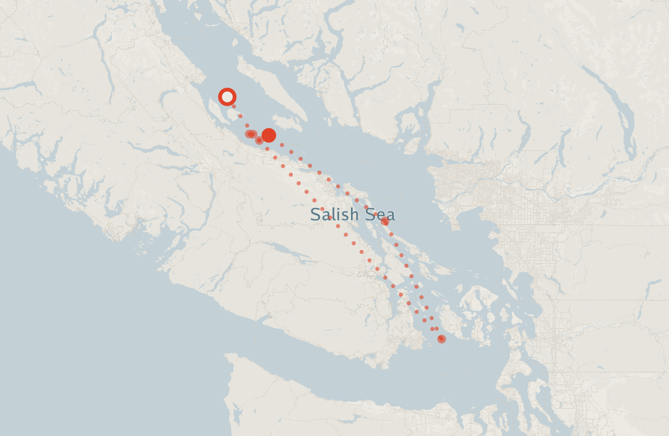 Activity map — real sighting points on an OpenStreetMap basemap