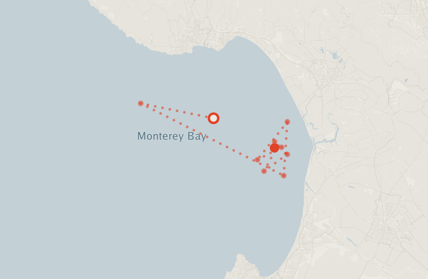 Activity map — real sighting points on an OpenStreetMap basemap