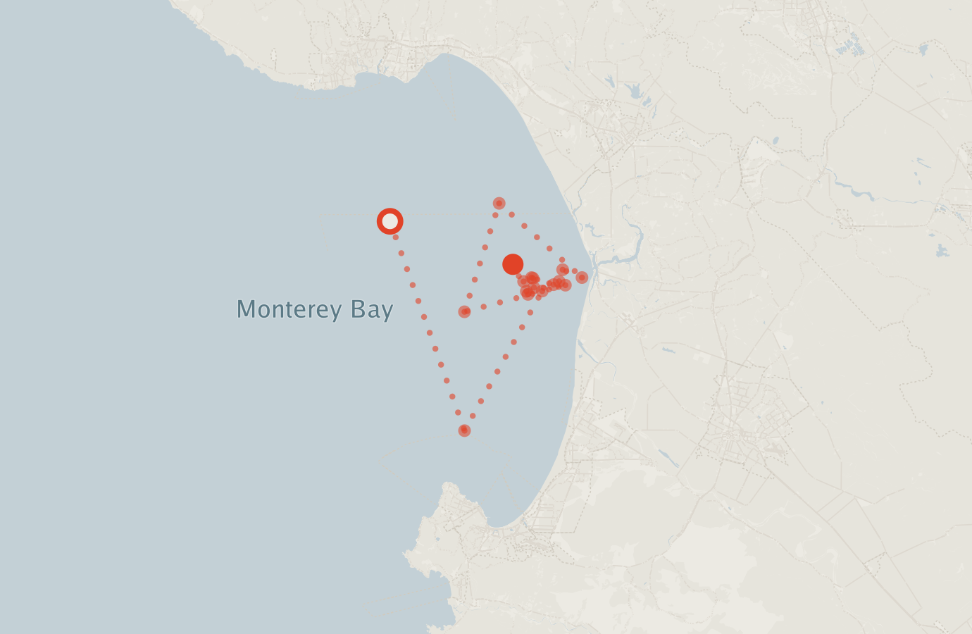 Activity map — real sighting points on an OpenStreetMap basemap