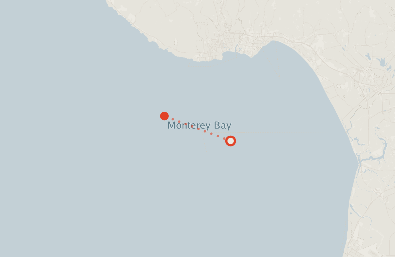 Activity map — real sighting points on an OpenStreetMap basemap