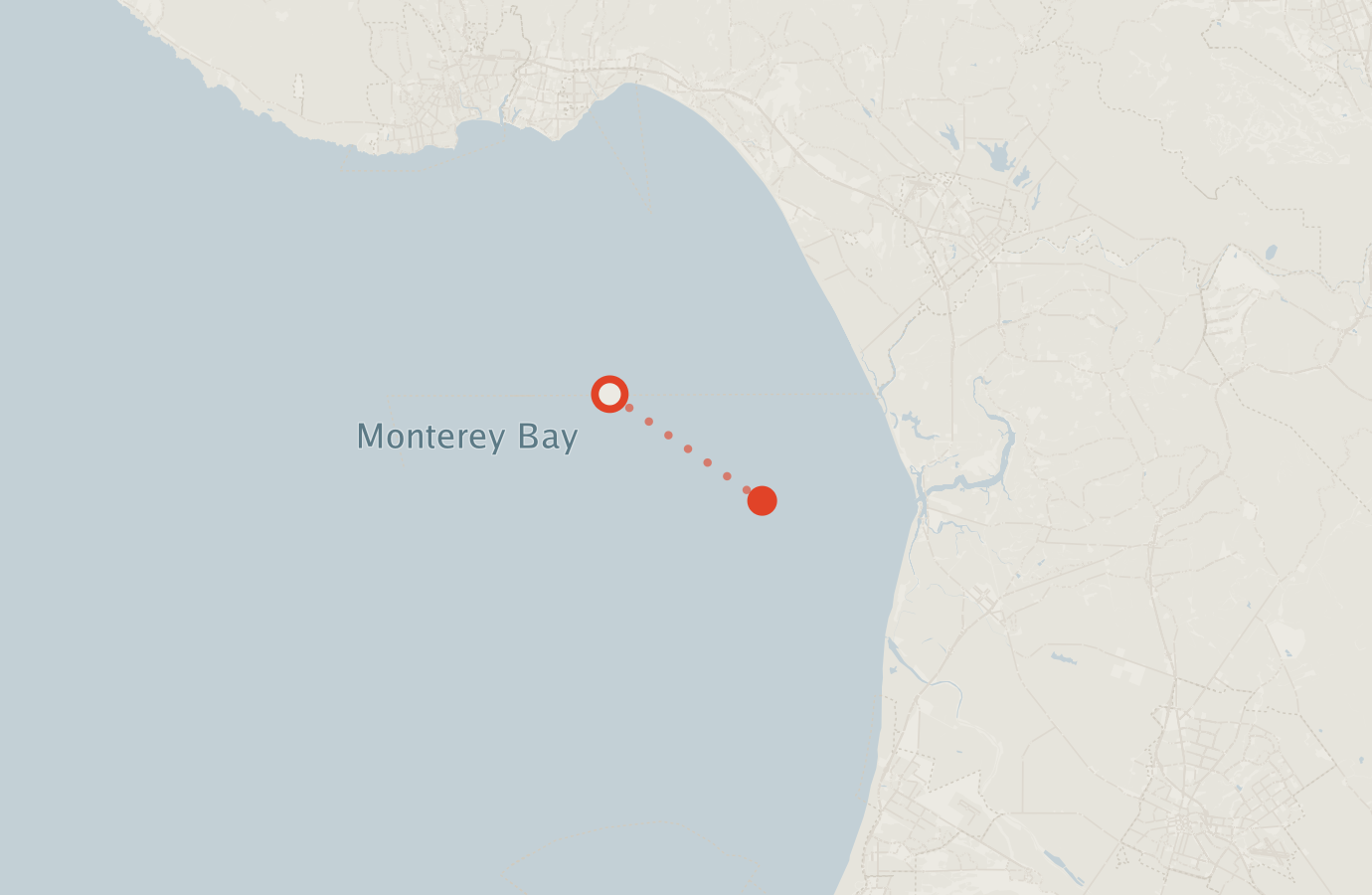 Activity map — real sighting points on an OpenStreetMap basemap