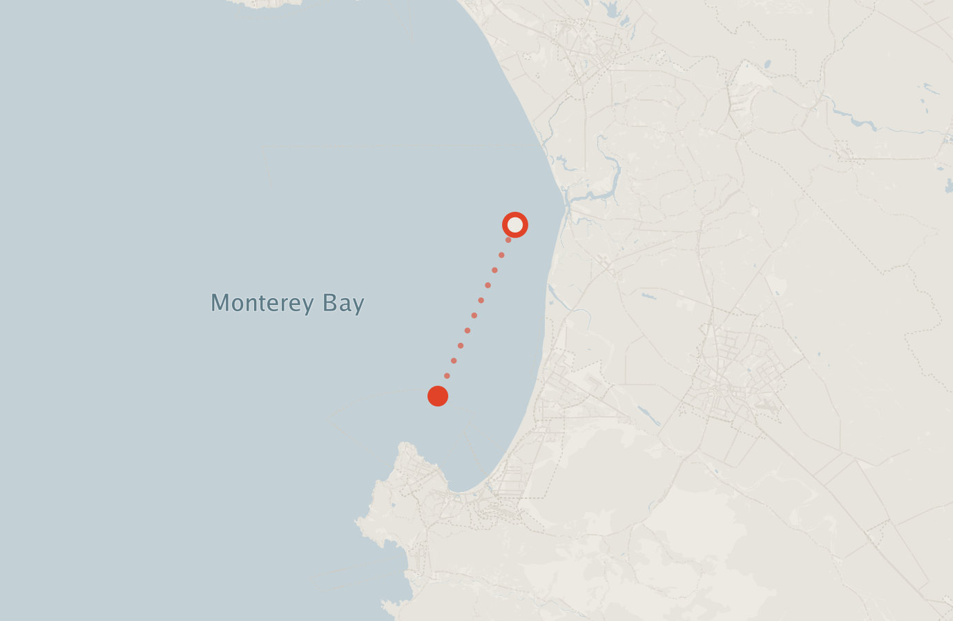 Activity map — real sighting points on an OpenStreetMap basemap