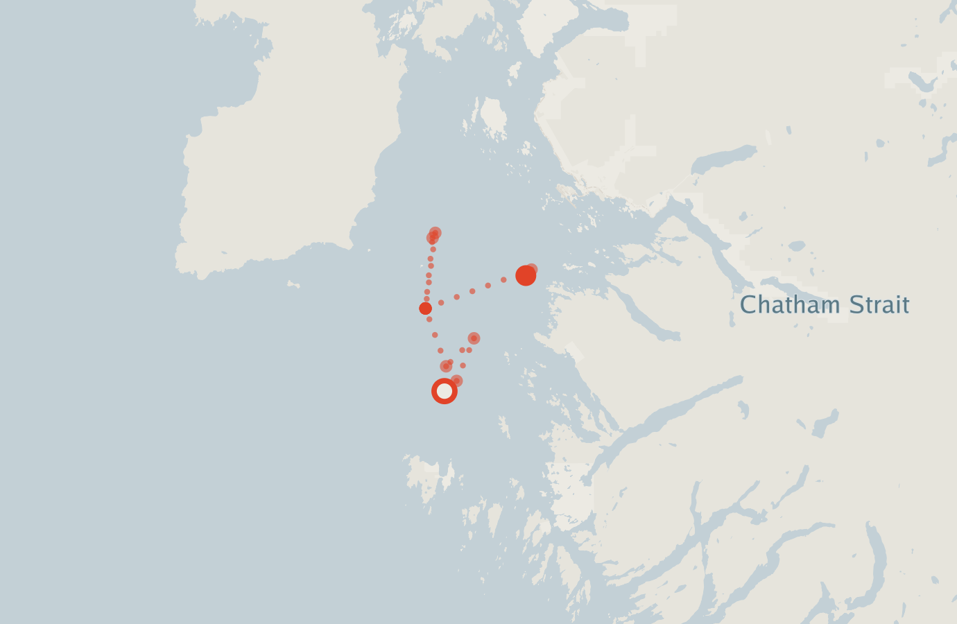 Activity map — real sighting points on an OpenStreetMap basemap