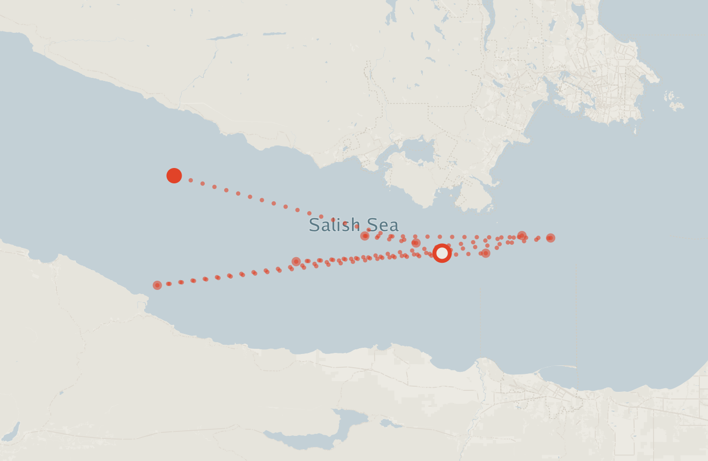 Activity map — real sighting points on an OpenStreetMap basemap