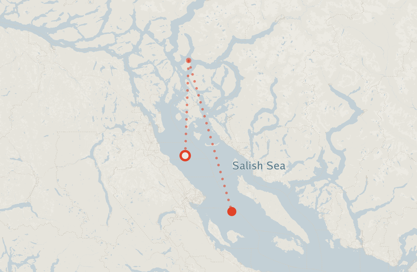 Activity map — real sighting points on an OpenStreetMap basemap