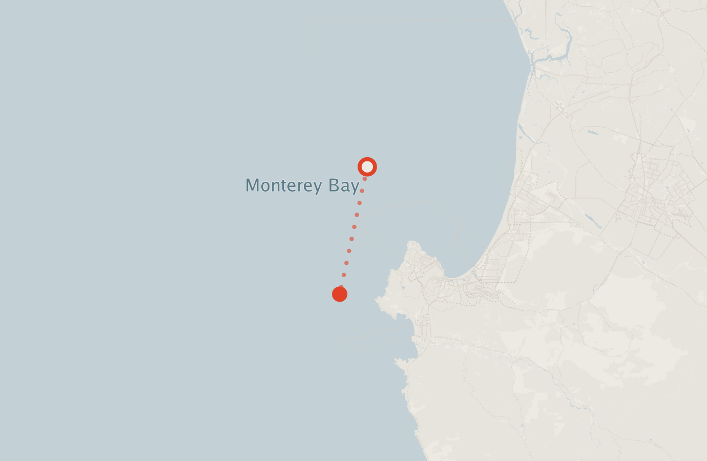 Activity map — real sighting points on an OpenStreetMap basemap
