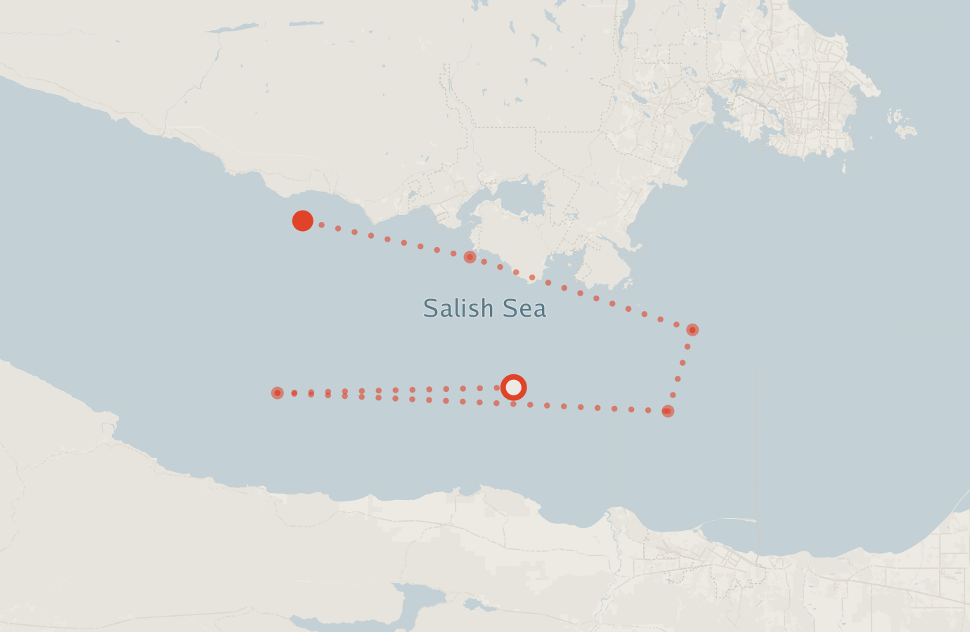 Activity map — real sighting points on an OpenStreetMap basemap